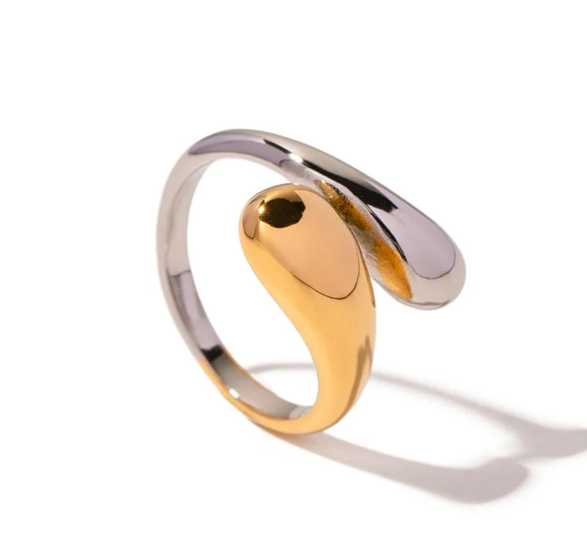 Wrap Around Me Silver & Gold Ring